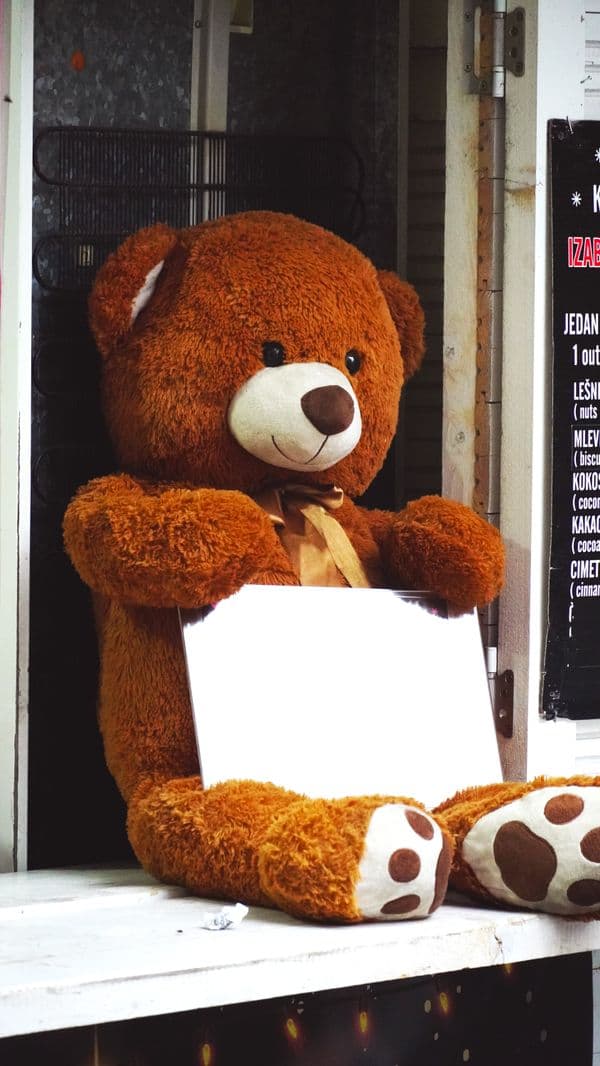 Nounours Teddy — glace artisanale premium par Gift & ENTREMETS By Ah Mes Goûts à Cotonou