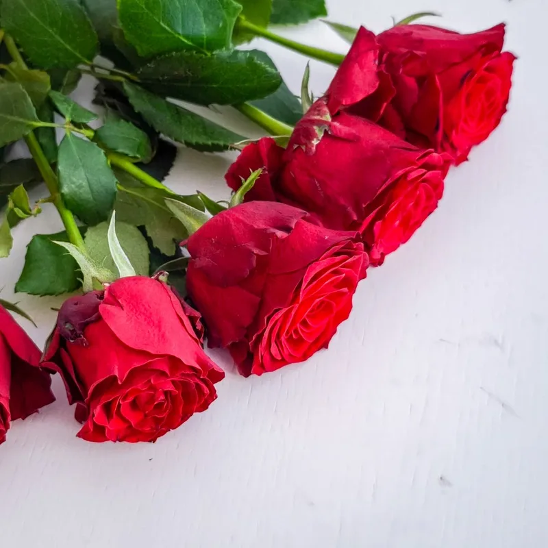 Bouquet 5 roses — glace artisanale premium par Gift & ENTREMETS By Ah Mes Goûts à Cotonou